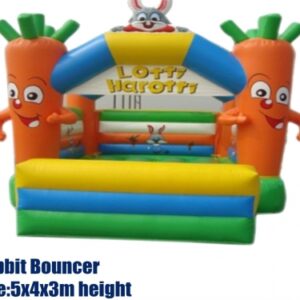 Rabbit Bouncer