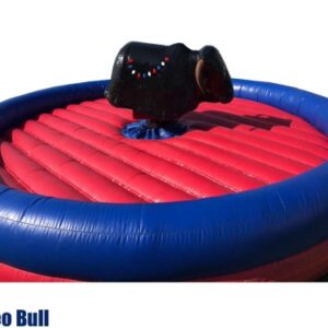 Rodeo Bull