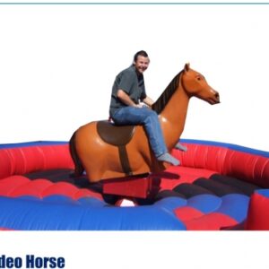 Rodeo Horse